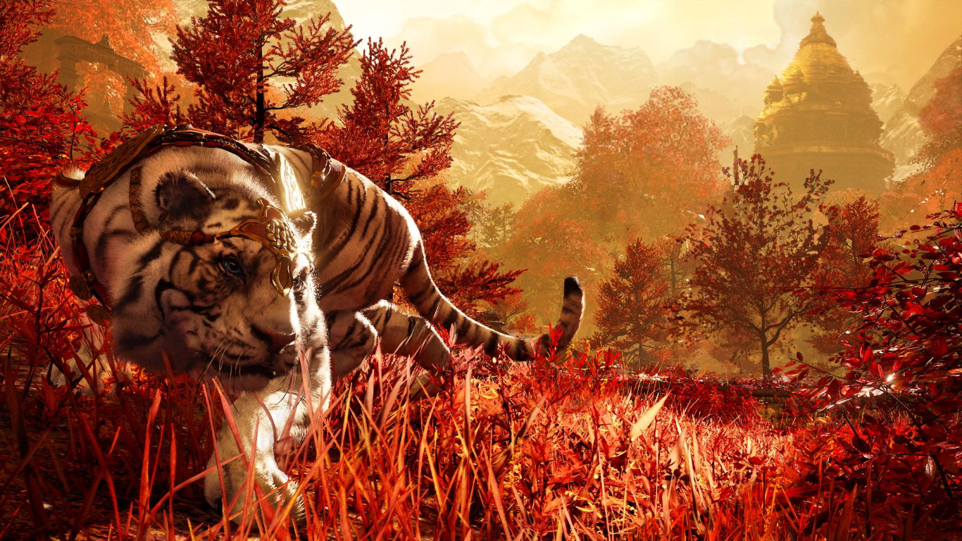 A lion in the game looking for something